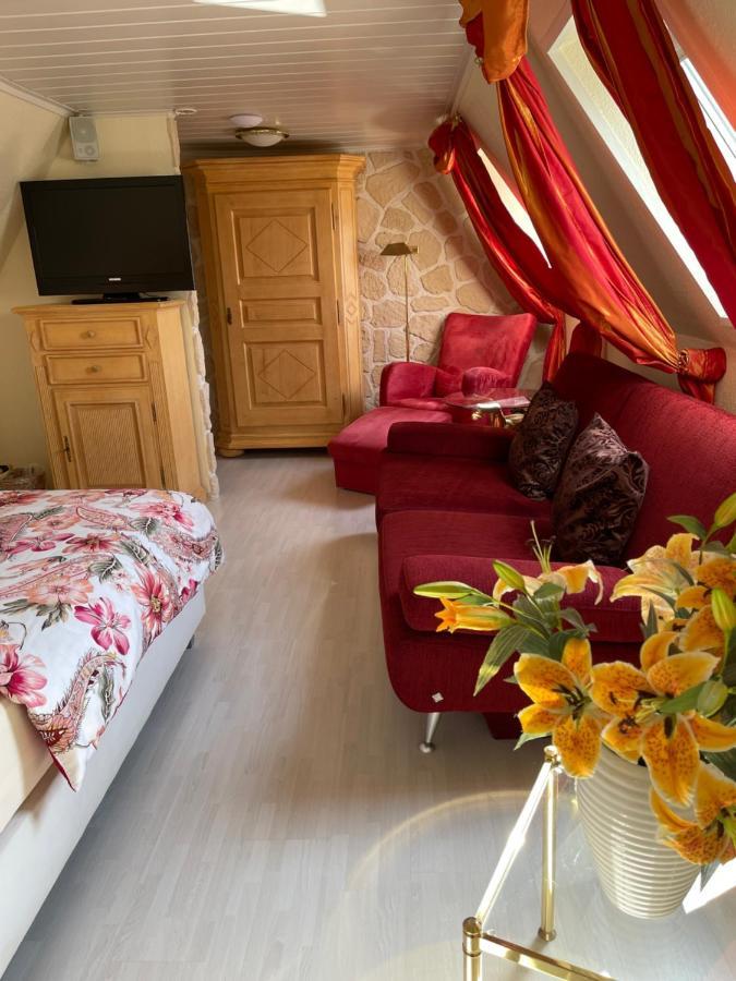 Hotel Villa Vital Munster エクステリア 写真